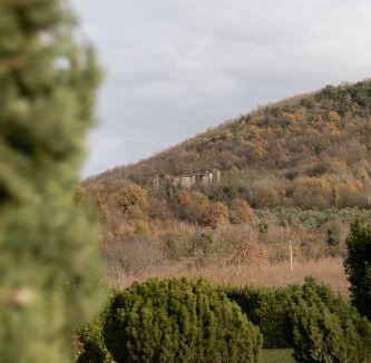 Vairano Patenora Bed & Breakfast | La Ferrara Agriturismo
