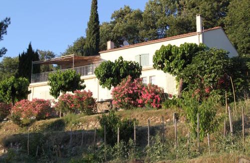 La Cadiere-d'Azur House | La Maison De La Cadière