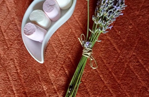Cabasse Bed & Breakfast | La Parenthèse Provençale