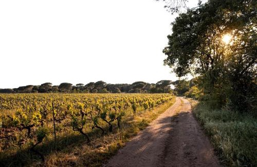 Vidauban House | La Petite Maison d'Emma