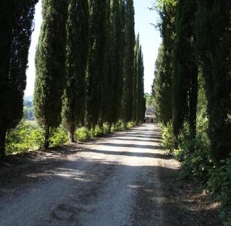 Mugnano in Teverina House | La viola