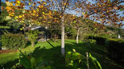 Vitoumas Apartment | LaGo Village House
