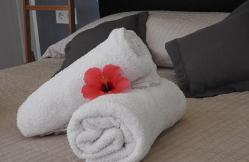 San Eugenio House | Las Flores studio 3