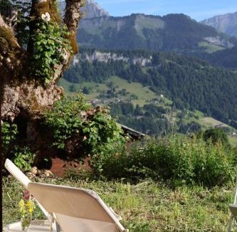 Crest-Voland Apartment | Le Chalet des pistes - cœur de l'Espace Diamant