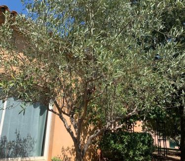 Le Thoronet Hotel | Le Clos du Thoronet