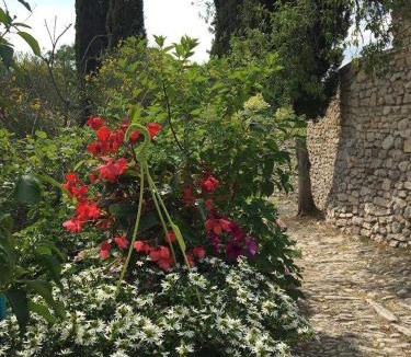 Montbrun-les-Bains House | Les Magnolias