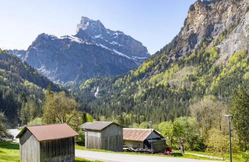 Sixt-Fer-a-Cheval Ski Chalet | Les Salamanes - Chalet 6-7 pers