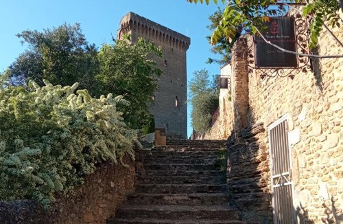 Chateauneuf-du-Pape House | Les volets rouges - Glace du Pape