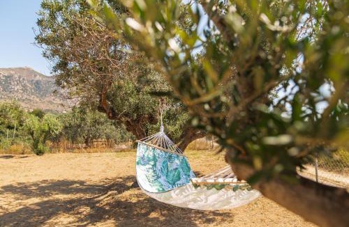 Kardamena House | Livas Relaxing Villas in Kardamena