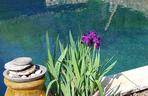 Besse-sur-Issole House | Lovely vacation rental in the Var, at besse sur Issole, near Toulon