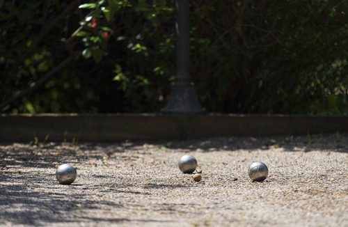 Ponteves Other | Magnificent Mas provençal with swimming pool, pétanque, pizza oven, volleyball