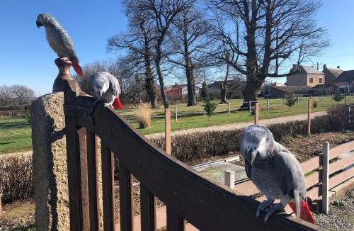 Pouligny-Notre-Dame House | Maison de charme en Berry près d'un golf & spa, jardin d'hiver, vélos, animaux bienvenus - tout inclus - FR-1-591-332