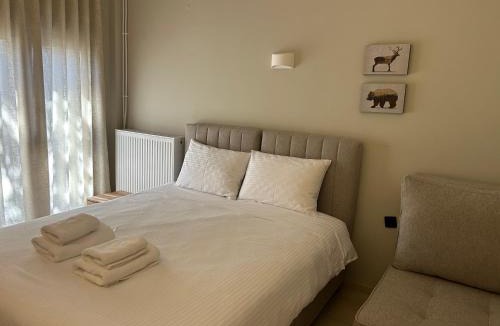 Elassona Apartment | Mamali Guesthouse