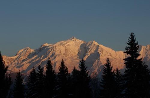 Cordon Apartment | MontBlanc Horizon Cosy