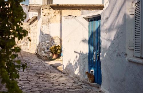 Pigi Villa | Muazzo Creta Stone House, Nature Escape with Pool, By ThinkVilla