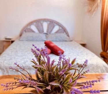 Saint-Tropez Apartment | My home