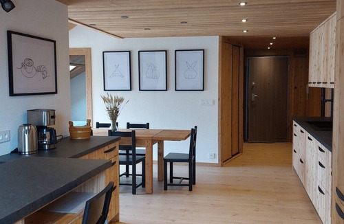 Abondance Apartment | New 4-Room Mountain-Style Apartment in Abondance