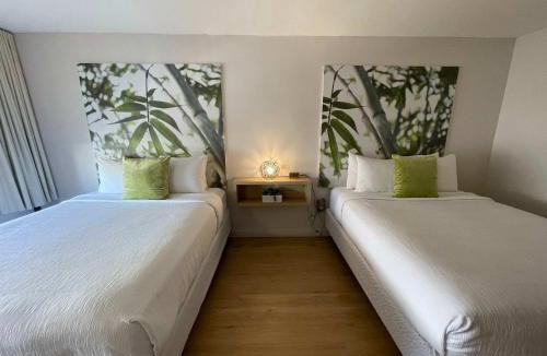 Kissimmee Hotel | Newly renovated room in cozy hotel near Disney 2