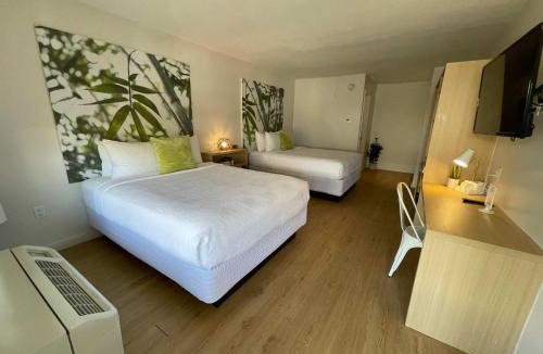 Kissimmee Hotel | Newly renovated room in cozy hotel near Disney 2