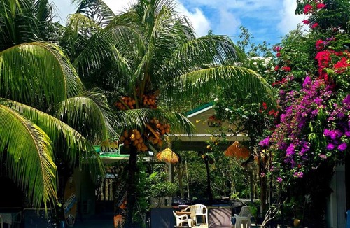 Bang Tao Other | Oasis2 Phuket Airport Glamping