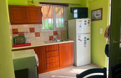 Zalongo Apartment | Olive Tree Villa