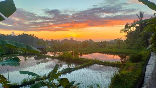 Sengkidu House | P'Moon Open Inn