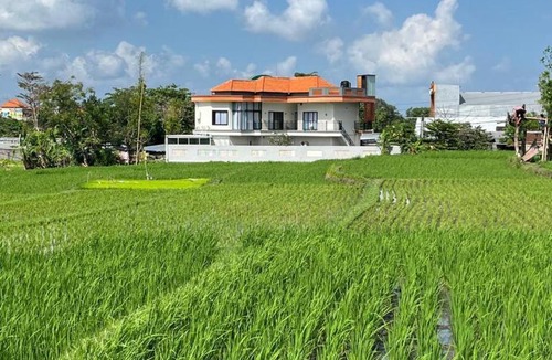 Kediri House | Padi Breeze Guesthouse Pererenan Bali