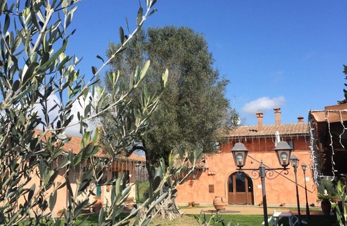 Zona LI La Storta Bed & Breakfast | Poggio dei cavalieri