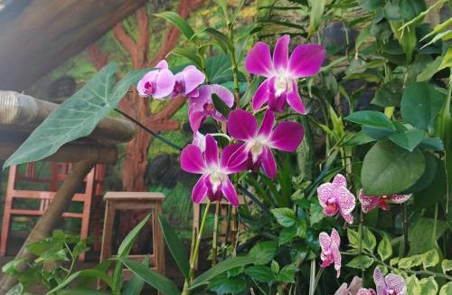 Sengkidu House | Pondok Diana