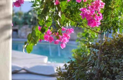 Koufonisia Apartment | Portes Houses