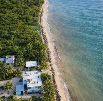 El Placer House | Pronoia Casa de Playa