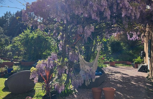 Villecroze House | Quiet Provencal country house on 18000 m² of land