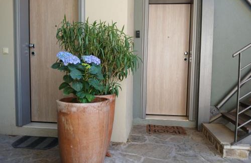 Agios Pavlos Apartment | Quiet Urban Studio with Private Backyard