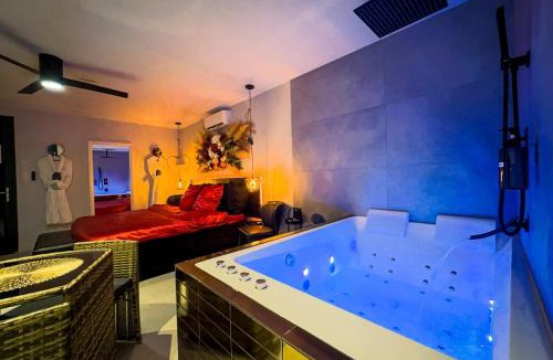 Venissieux Hotel | SERENITY Suite - Love room Bonheur