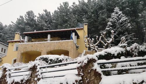 Zigos House | Six Steps From The Forest