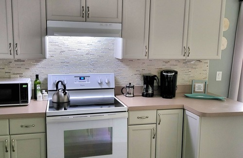Mount Plymouth House | Sorrento Cottage 2/2 No Stairs, King's Landing,Weikva Springs,Mt Dora apx 10 min