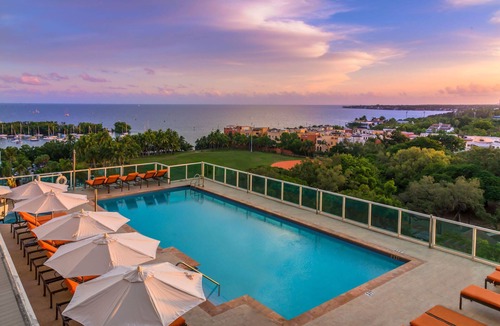 Coconut Grove Apartment | Spacious Open-Concept 2BR - Coconut Grove