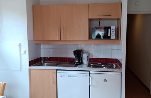 Puy-Saint-Vincent Apartment | Studio 4 Pers avec Balcon et Local Ski à Puy-Saint-Vincent - FR-1-504-303