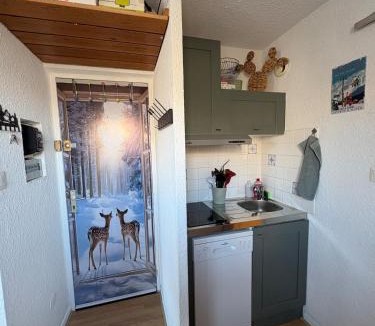 Puy-Saint-Vincent Apartment | Studio 4 personnes Cortina 3