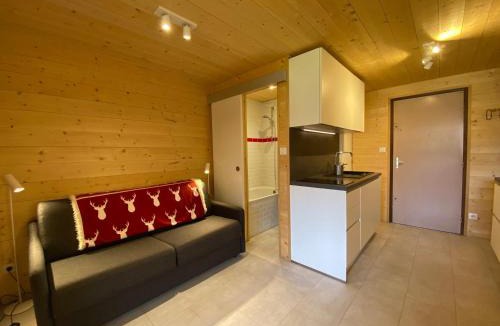 Abondance Apartment | Studio calme proche centre Abondance, balcon Sud, casier à skis, parking - FR-1-692-84