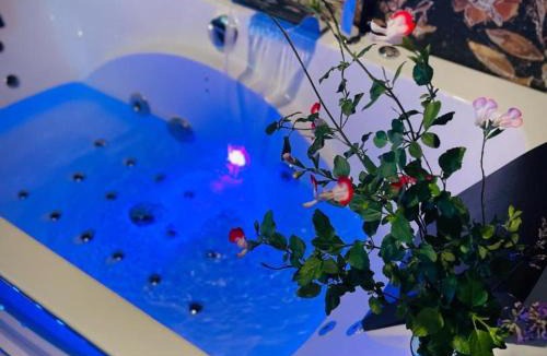 Montaigu-le-Blin Apartment | Studio cosy avec jardin et spa à Montaigu-le-Blin - FR-1-489-520
