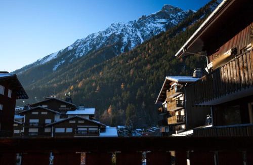 Chamonix City Centre Apartment | Studio lumineux proche des pistes, animaux admis - FR-1-517-32