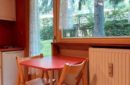 Chamonix City Centre Apartment | Studio rénové 16m2, terrasse, animaux admis, parking, près télécabine Brévent - FR-1-517-3