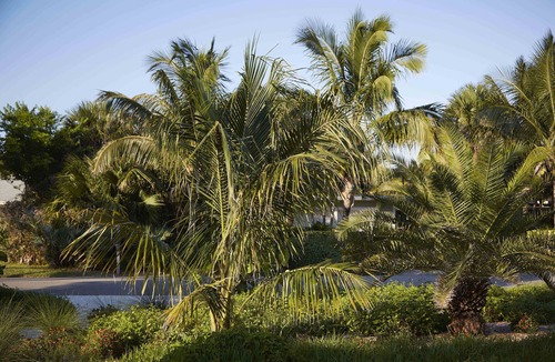 Beau Jeans Of Melbourne Beach House | Stylish, and relaxing in a charming neighbourhood with a secluded local beach.