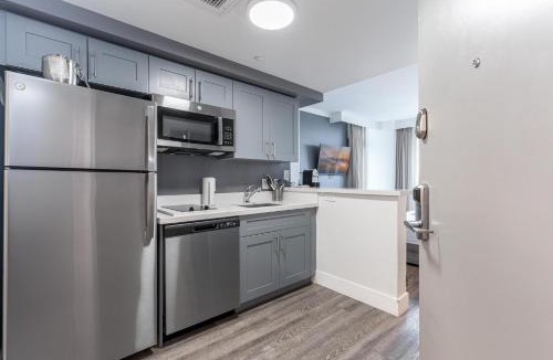 Coconut Grove Apartment | Stylish Studio at Hotel Arya King Bed Full Kitchen City View Balcony and Parking