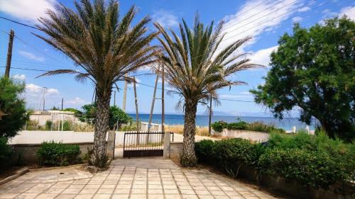 Paralias House | Summerhouse Peggy: close to Athens airport by the sea