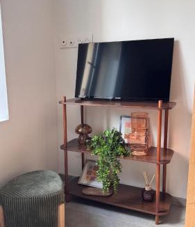 Castres Apartment | T2 cosy tout équipé, parking et wifi gratuit, Castres