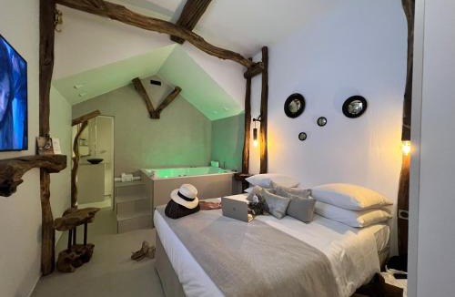 Aubagne Hotel | Tamarin & Capucin Suite Balnéo