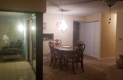 Carrollwood House | TAMPA VACATION HOME CLOSE TO EVERYTHING!