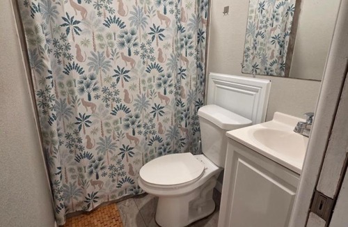 Temple Terrace House | The Jungle Oasis by Busch Gardens, USF, and Amphitheater